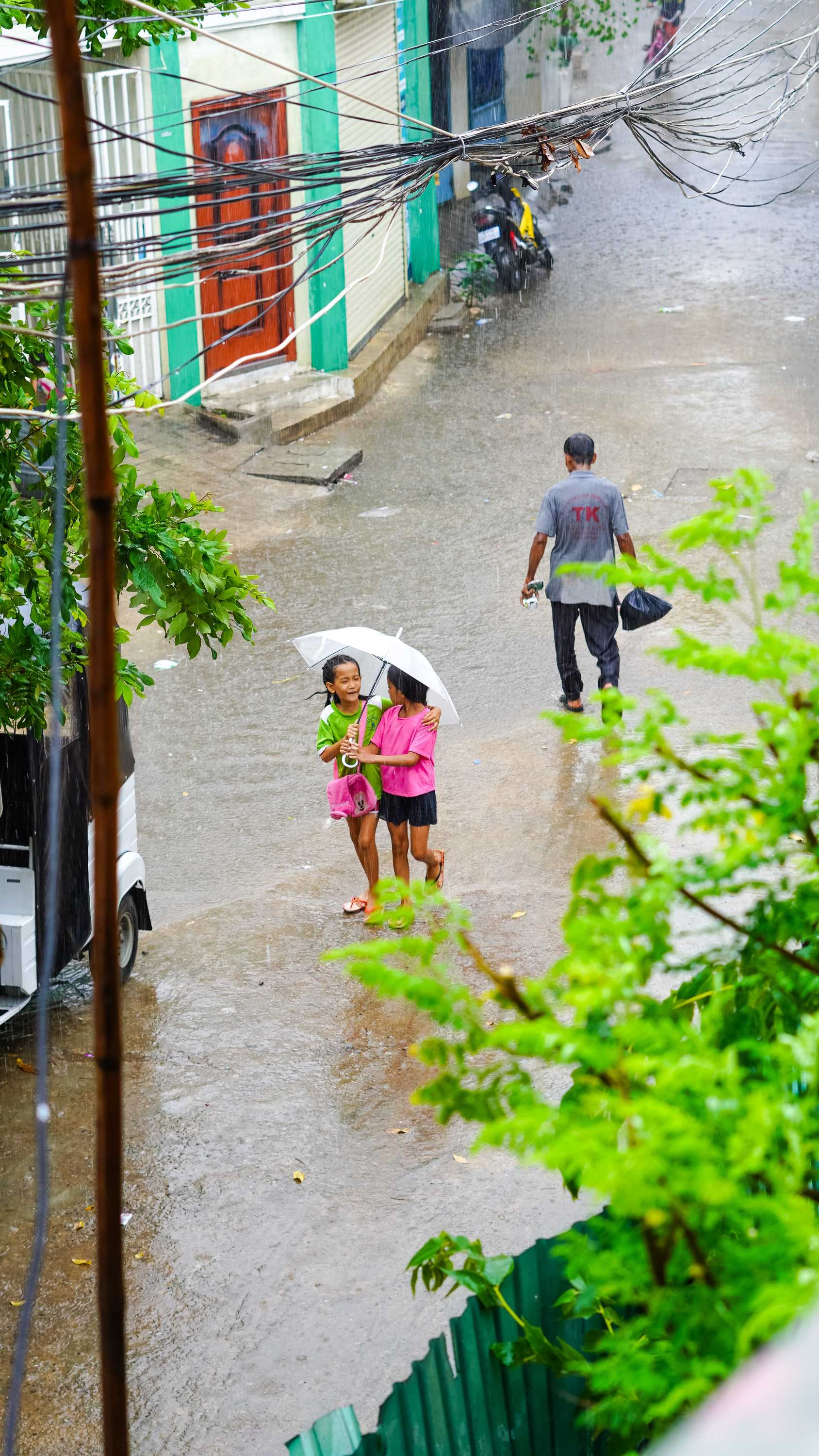 Leptospirosis in Children: What Parents Need to Know | Children's Care ...